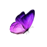 graphic image of purple butterfly