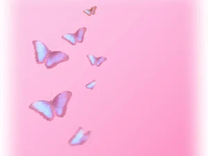 Butterfly background 3